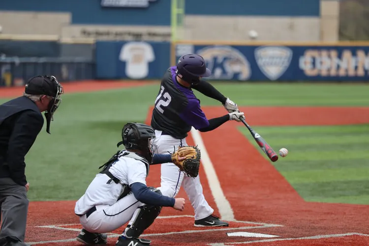 Cá cược bóng chày Venezuelan Professional Baseball League