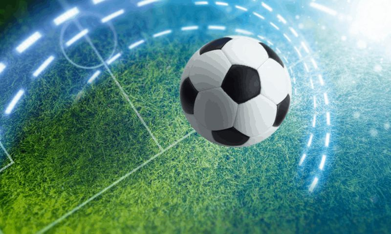 Soccer Pingoal Max